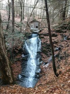 16441 W Lake Rd, Pulteney, NY 14418 - exterior space