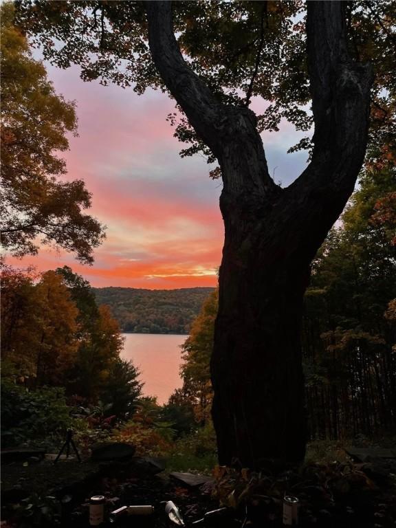 16441 W Lake Rd, Pulteney, NY 14418 - water view featuring a wooded view