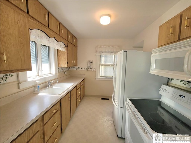 18 Ivy St, Jamestown, NY 14701 - photo 9
