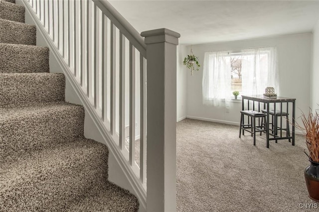 stairs with baseboards and carpet