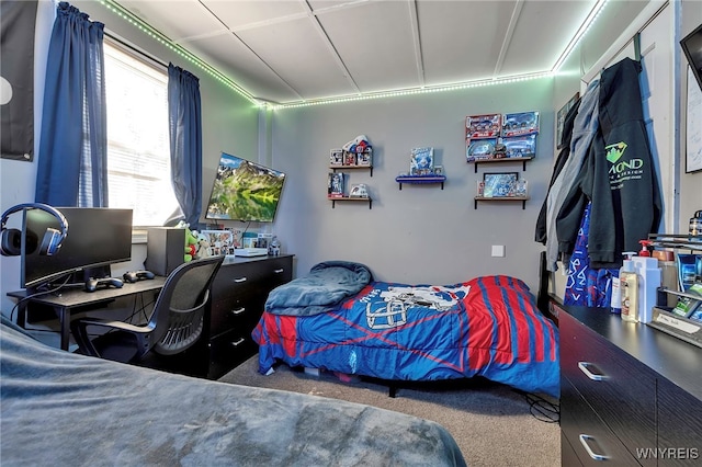 192 Pine St, Lockport City, NY 14094 - bedroom featuring carpet flooring