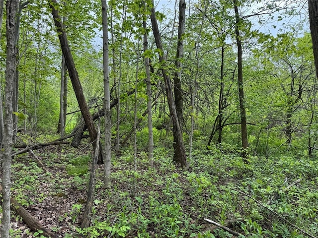 Old State Rd, Nelson, NY 13061