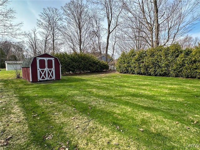 view of yard featuring an outdoor structure and a storage unit