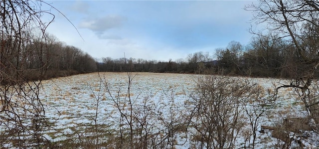 0 Caswell Rd, Dryden, NY 13068 - photo 1