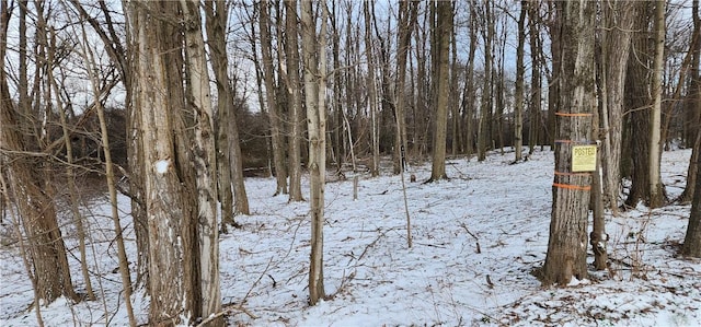 0 Caswell Rd, Dryden, NY 13068 - photo 2
