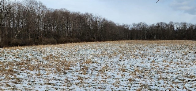 0 Caswell Rd, Dryden, NY 13068 - photo 4