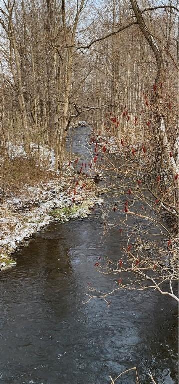 0 Caswell Rd, Dryden, NY 13068 - photo 5