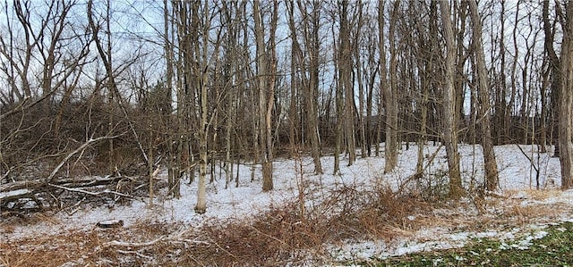 0 Caswell Rd, Dryden, NY 13068 - photo 6