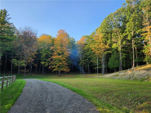 316 Seminary Rd, Hartwick, NY 13348 - photo 6