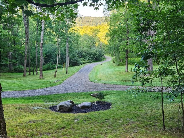 316 Seminary Rd, Hartwick, NY 13348 - photo 4