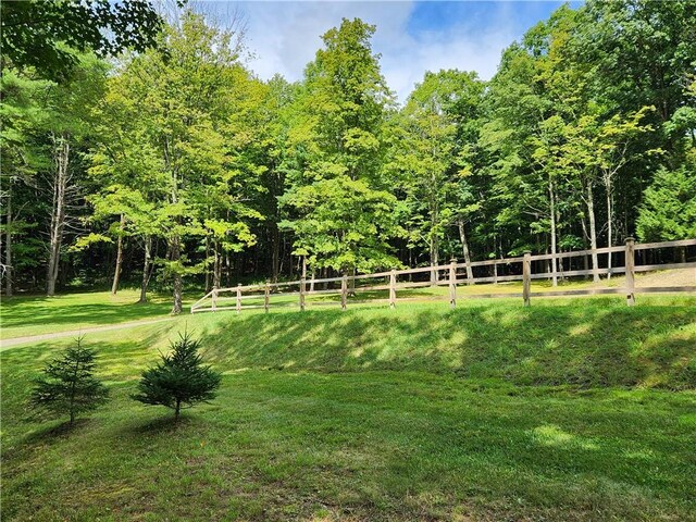 316 Seminary Rd, Hartwick, NY 13348 - photo 7