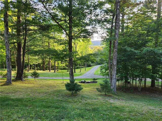 316 Seminary Rd, Hartwick, NY 13348 - photo 9