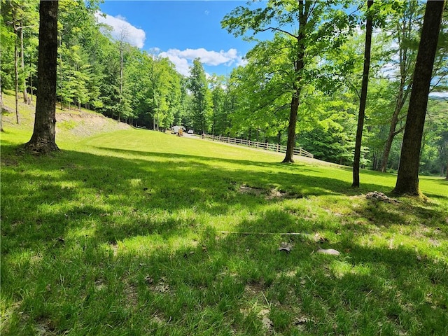 316 Seminary Rd, Hartwick, NY 13348 - photo 11