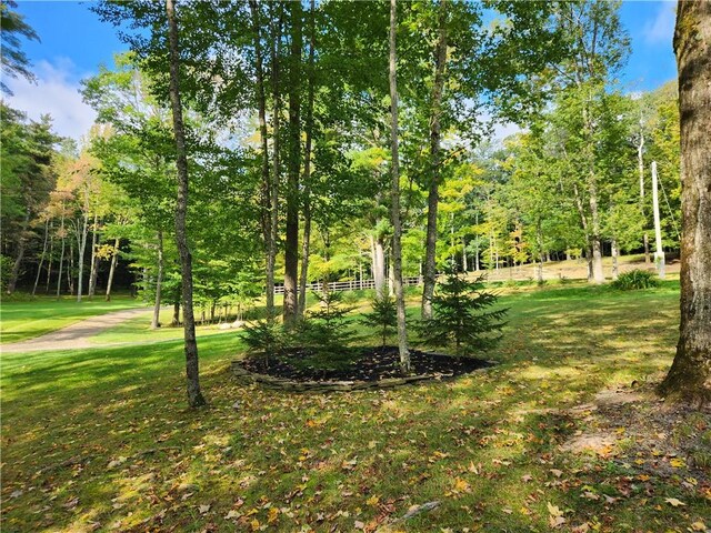 316 Seminary Rd, Hartwick, NY 13348 - photo 10