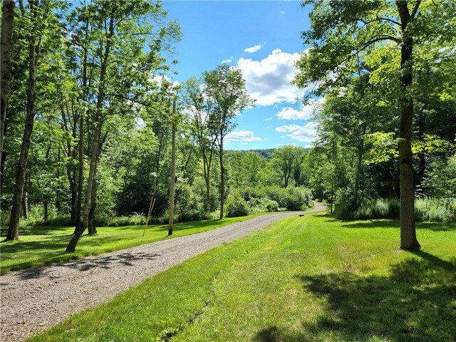 316 Seminary Rd, Hartwick, NY 13348 - photo 3
