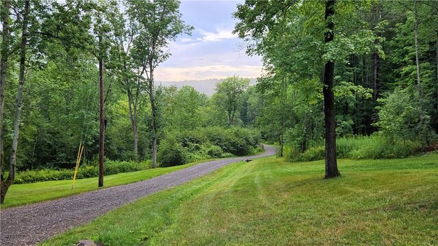 316 Seminary Rd, Hartwick, NY 13348 - photo 5