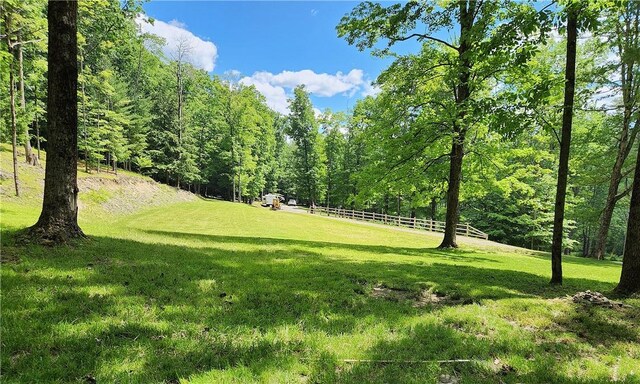 316 Seminary Rd, Hartwick, NY 13348 - photo 16