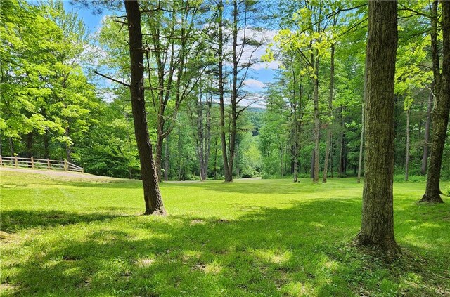 316 Seminary Rd, Hartwick, NY 13348 - photo 17