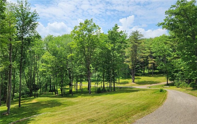 316 Seminary Rd, Hartwick, NY 13348 - photo 18