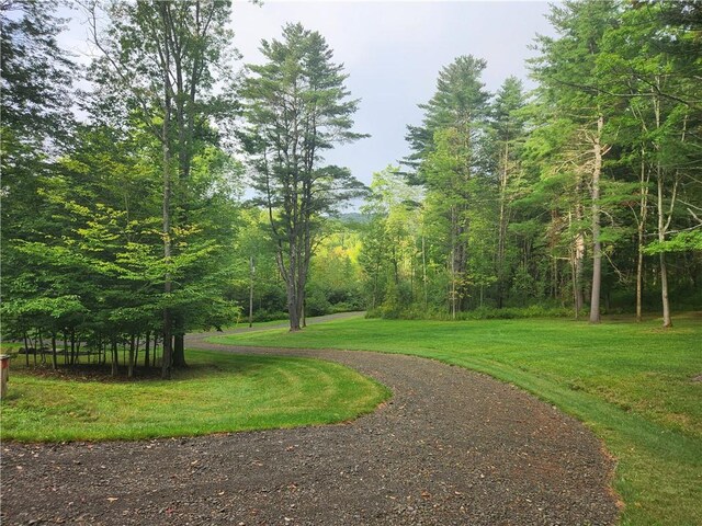 316 Seminary Rd, Hartwick, NY 13348 - photo 19