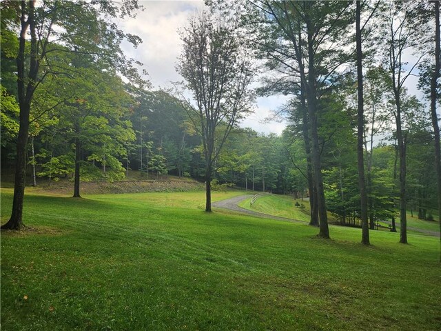 316 Seminary Rd, Hartwick, NY 13348 - photo 20
