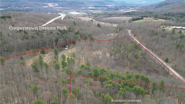 316 Seminary Rd, Hartwick, NY 13348 - photo 22
