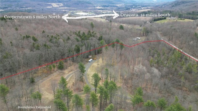 316 Seminary Rd, Hartwick, NY 13348 - photo 24
