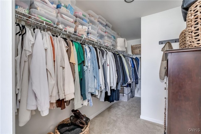 walk in closet with carpet