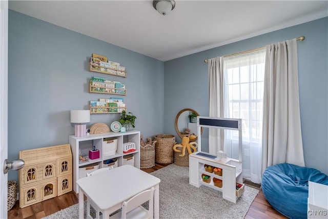 rec room with wood finished floors