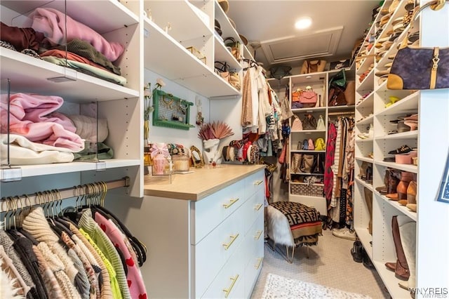spacious closet with carpet