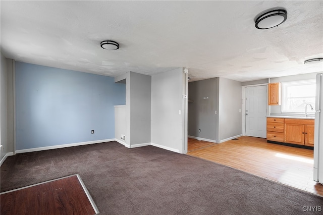15-17A Vincent St, Champion, NY 13619 - unfurnished living room with light carpet, baseboards, and a sink