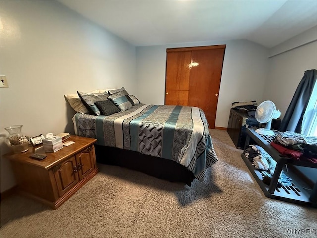 42 Mechanic St, Collins, NY 14070 - bedroom with light colored carpet, lofted ceiling, and a closet