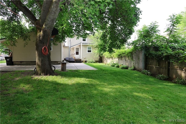 42 Mechanic St, Collins, NY 14070 - view of yard with a patio