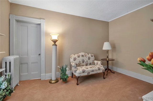sitting room featuring a textured ceiling, radiator heating unit, baseboards, and carpet flooring