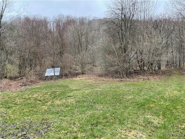 11335 Wyandale Rd, Concord, NY 14141 - photo 11