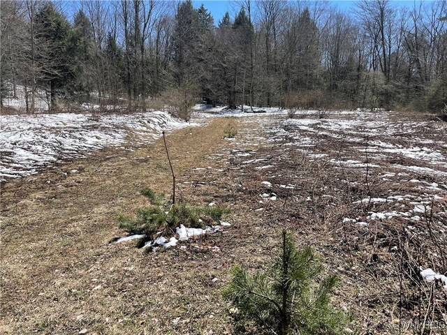 11335 Wyandale Rd, Concord, NY 14141 - photo 26
