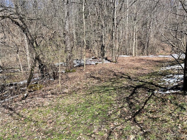 11335 Wyandale Rd, Concord, NY 14141 - photo 27