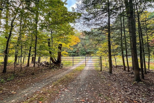 390 Ridge Rd, Stuyvesant, NY 12156 - photo 37