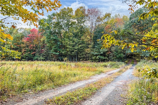 390 Ridge Rd, Stuyvesant, NY 12156 - photo 39