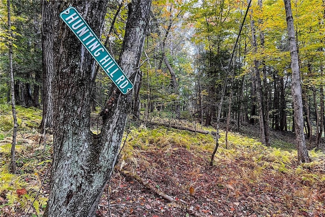 390 Ridge Rd, Stuyvesant, NY 12156 - photo 40