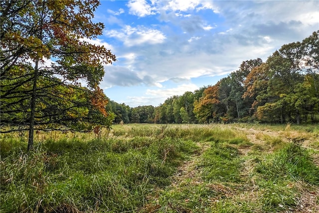 390 Ridge Rd, Stuyvesant, NY 12156 - photo 43