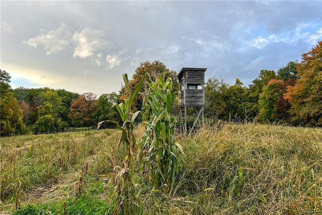390 Ridge Rd, Stuyvesant, NY 12156 - photo 44