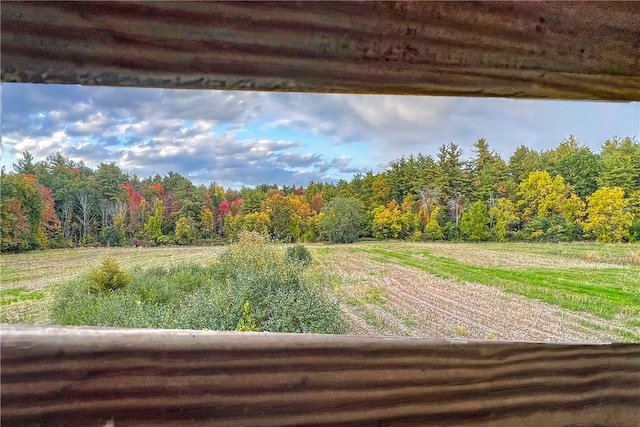 390 Ridge Rd, Stuyvesant, NY 12156 - photo 46