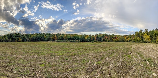 390 Ridge Rd, Stuyvesant, NY 12156 - photo 48