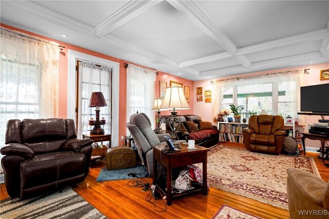 11400 Savage Rd, Sardinia, NY 14030 - living area featuring wood finished floors, beam ceiling, ornamental molding, coffered ceiling, and recessed lighting
