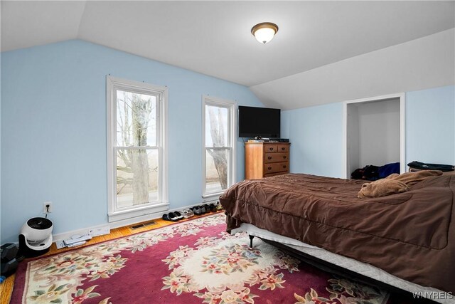 11400 Savage Rd, Sardinia, NY 14030 - bedroom with vaulted ceiling and wood finished floors