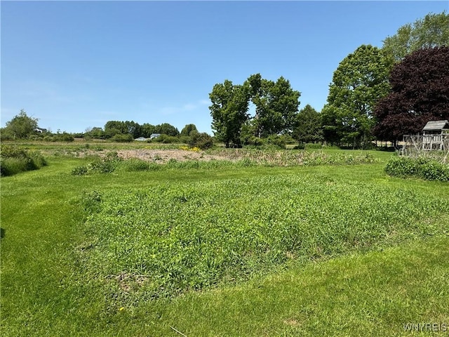 11400 Savage Rd, Sardinia, NY 14030 - view of yard with a rural view