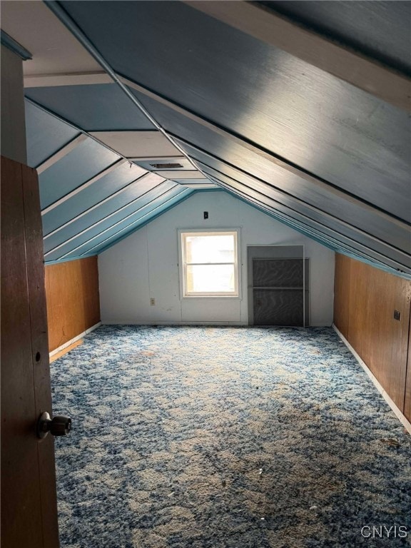 525 Bell Hill Rd, German Flatts, NY 13357 - additional living space featuring wooden walls, vaulted ceiling, and carpet floors
