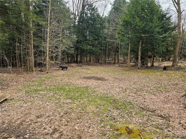 1378 County Route 17, Constantia, NY 13028 - photo 45