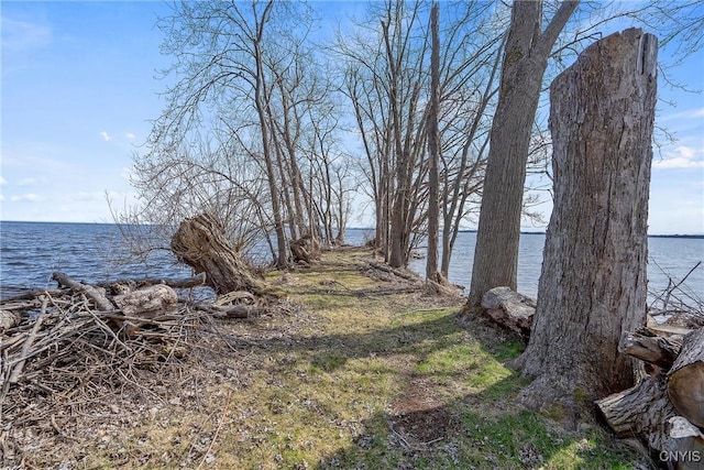 28 Wedgeworth Dr, West Monroe, NY 13167 - view of yard featuring a water view